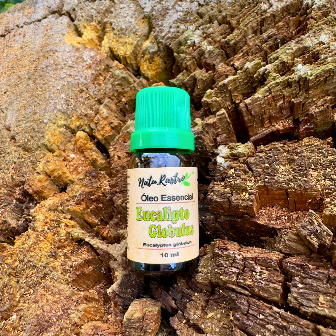 Óleo Essencial de Eucalipto Globulus Natu...
